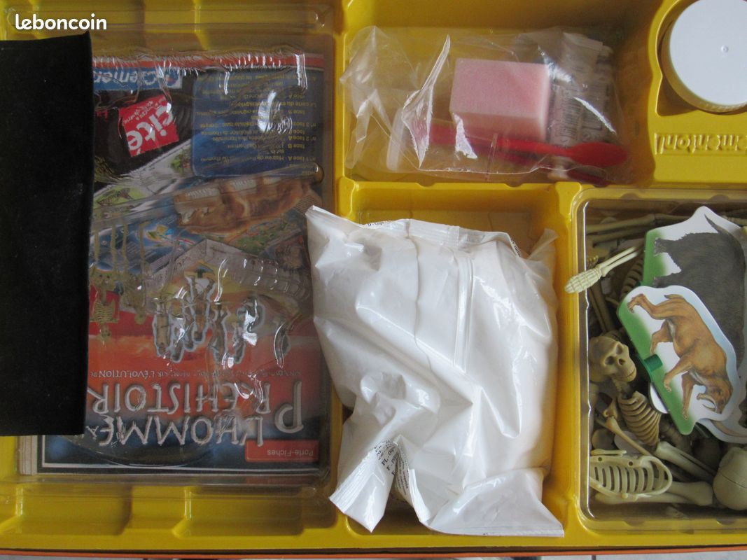 "L'HOMME A LA PREHISTOIRE" Sciences et jeu (image 2)