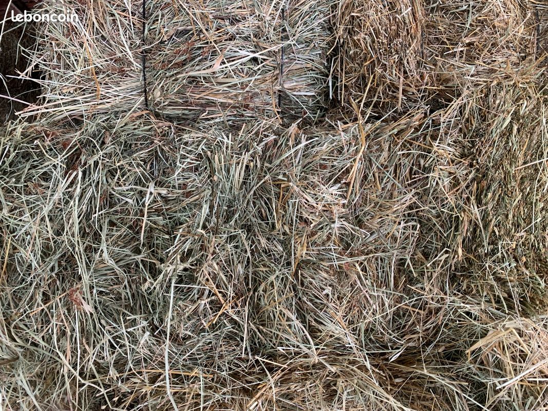 Paillage (image 2)