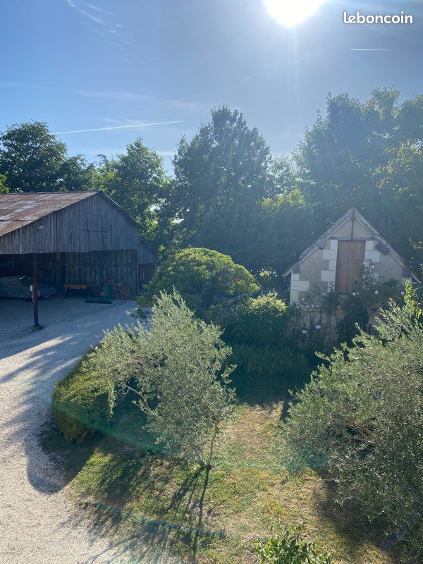 Gite 4 pers proche châteaux, zoo beauval au coeur de la campagne (image 7)
