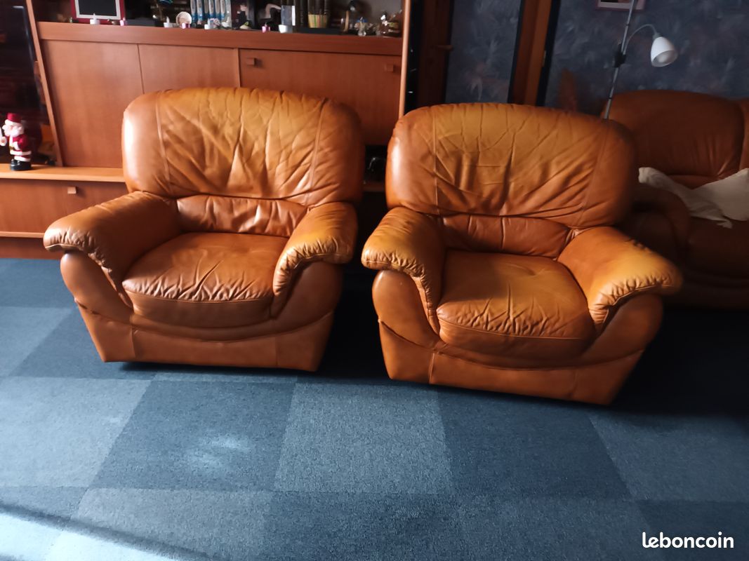 Fauteuils en cuir fauve (image 1)