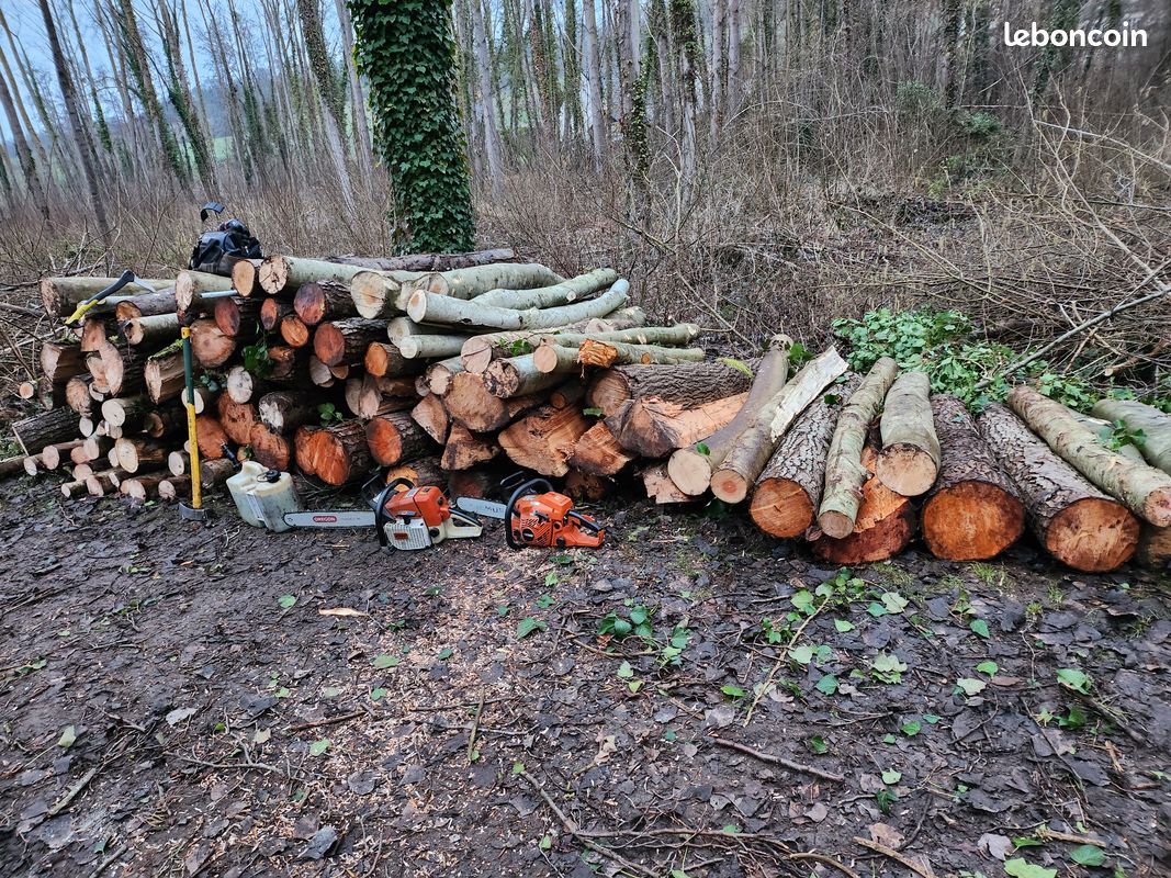 Bois (image 1)