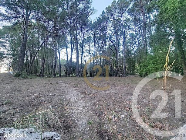 Terrain 7 000 m² Callas
