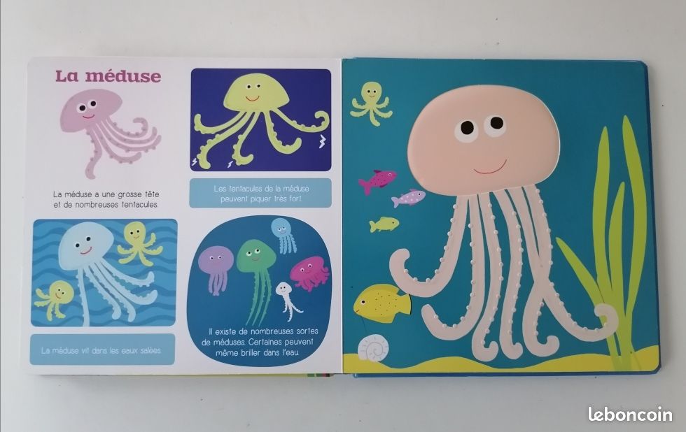 Les animaux de la mer (image 6)
