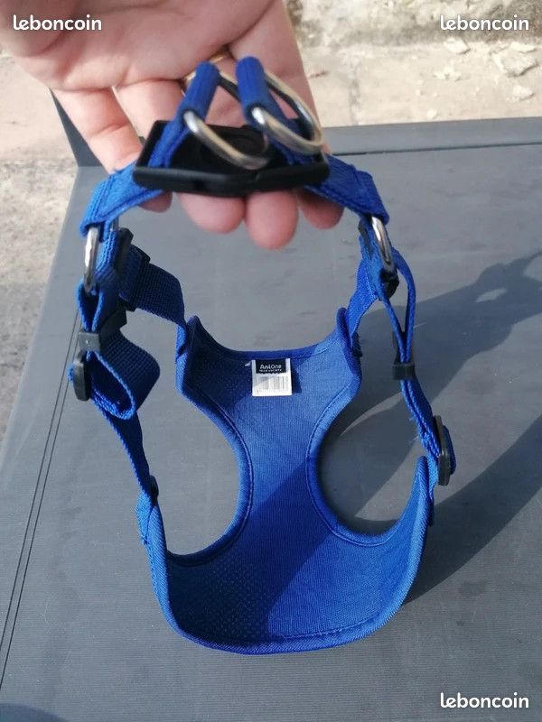 Harnais Chiot AniOne Bleu 46-66 cm (image 2)
