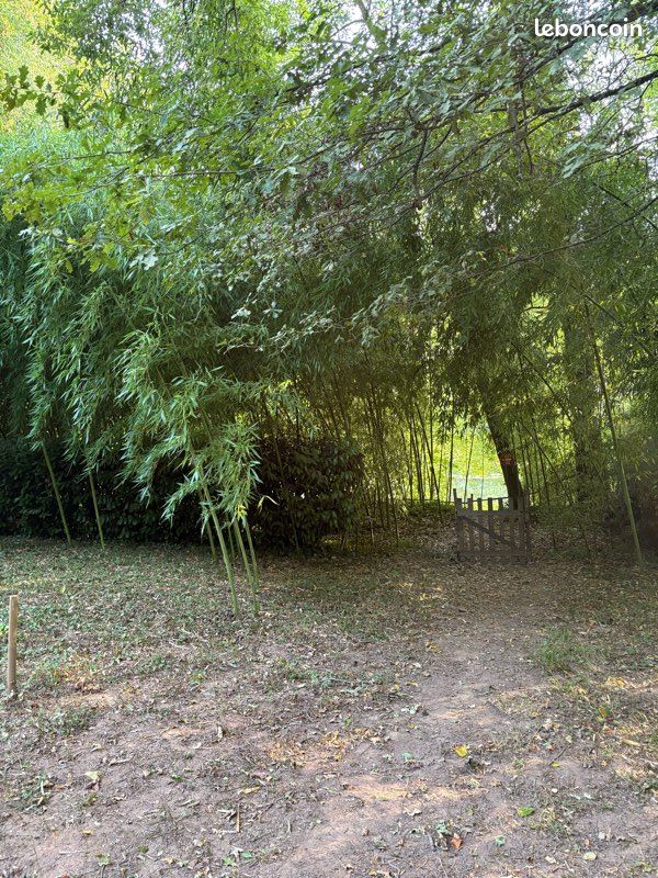 Terrain