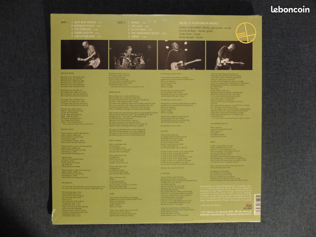 The Ex If Your Mirror Breaks LP (image 2)