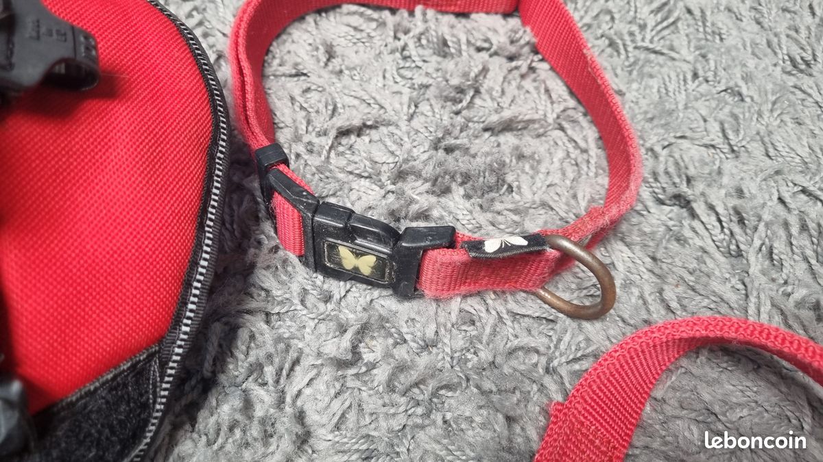 Harnais Julius K9 + collier + laisse Rouge jusqu'à 40 Kg (image 2)