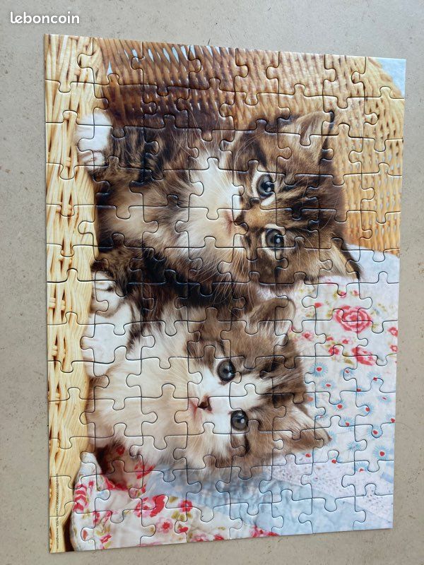 Puzzle 100 pièces (image 2)