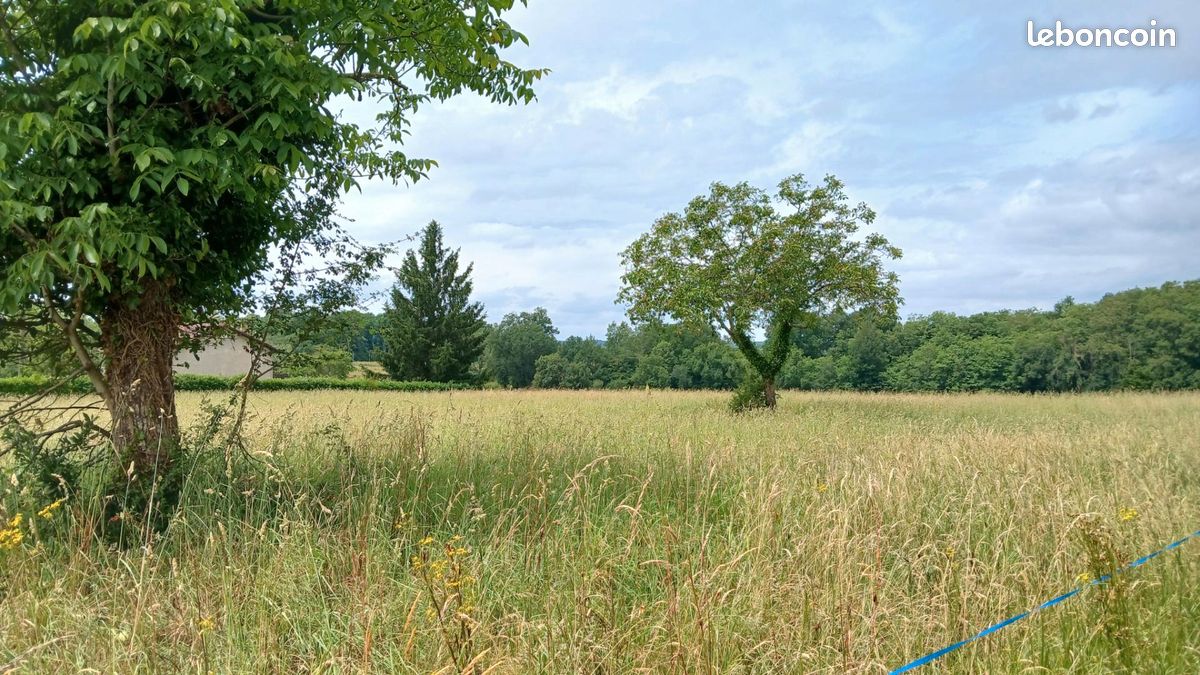 Terrain 3200 m² · à Saint Privat en Périgord · 3 200 m² · 25 300 €