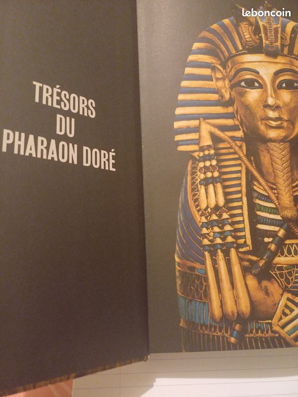 L'Exposition Toutânkhamon, le Trésor du Pharaon - Histoire et