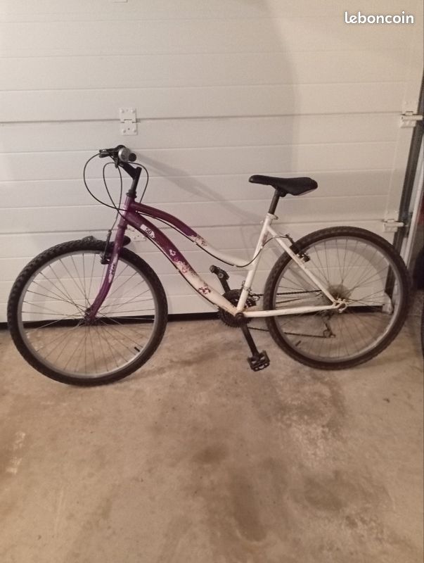 Vélo ado / adulte (image 3)
