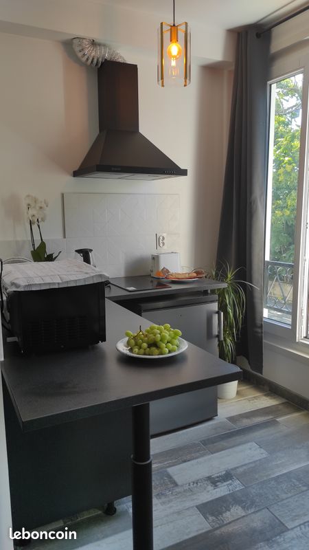 Appartement a louer charenton-le-pont - 1 pièce(s) - 17 m2 - Surfyn
