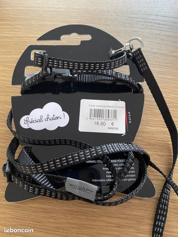 Vends collier harnais et laisse pour chaton (image 2)