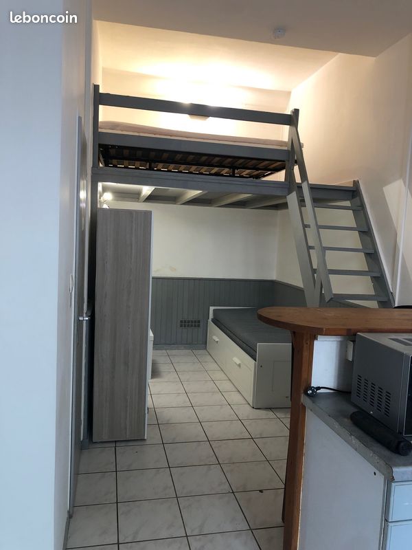 Appartement 1 pièce 20 m² · à Oullins-Pierre-Bénite · 20 m² · 590 €/mois