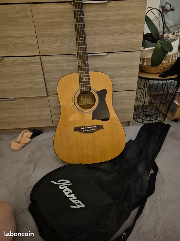 🎸 Guitare acoustique Ibanez V50NJP + housse de transport (image 2)
