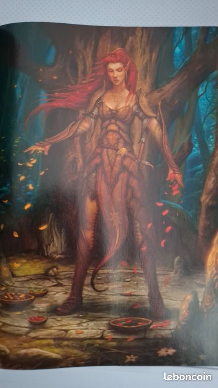​Livre Jeu de Rôle Dungeons & Dragons (D&D) 4e Édition - Guide du Maître (VF) (image 4)