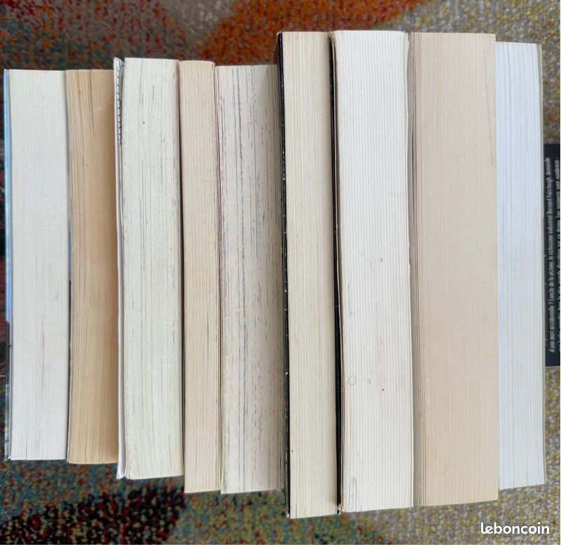 9 livres pour ados (image 4)