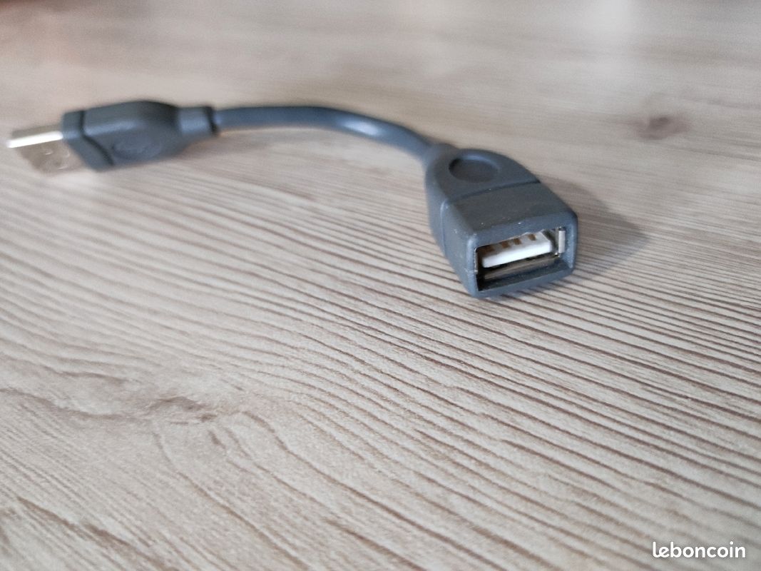 Rallonge usb (image 2)