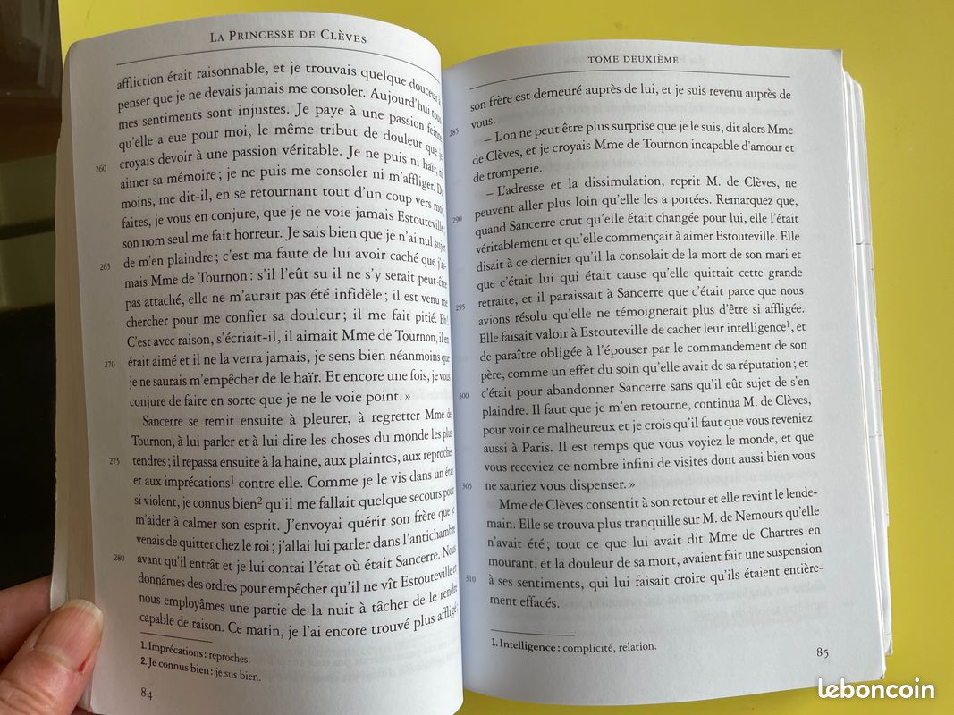 La Princesse de Clèves de Mme de Lafayette avec dossier bac (image 2)