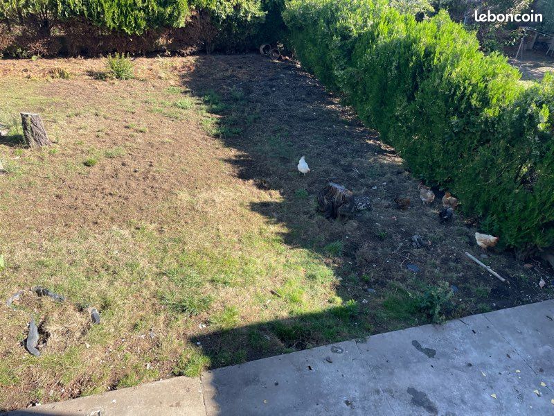 Appartement a louer colomiers - 2 pièce(s) - 28 m2 - Surfyn