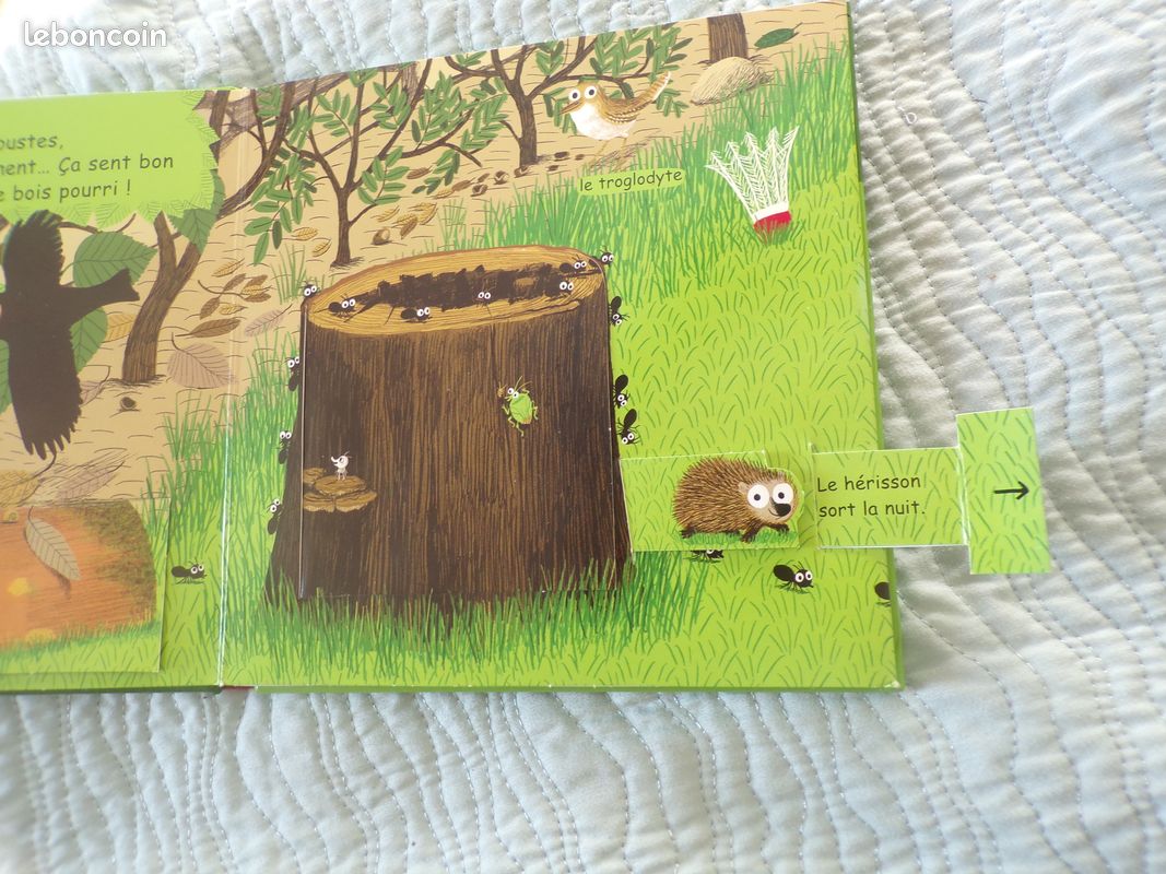 LIVRE AVEC VOLETS dans le jardin (image 5)