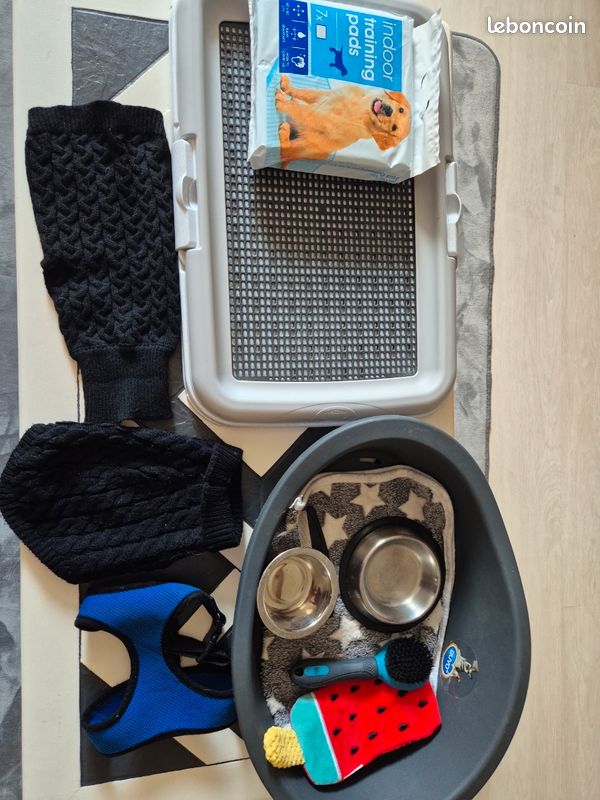 Accessoires pour petit chien (image 1)
