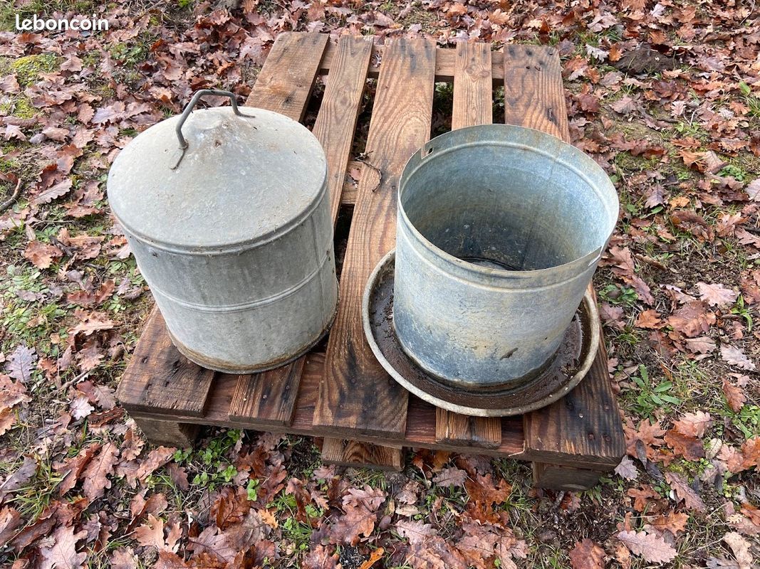 Abreuvoir poule (image 1)