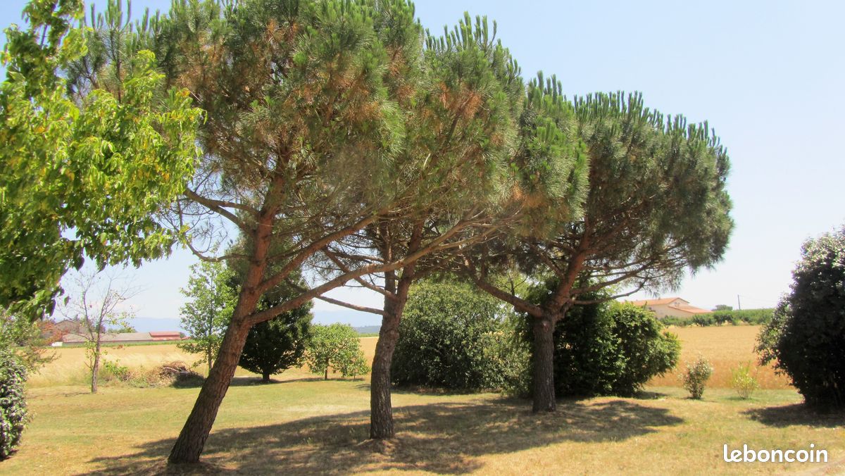Gîte de charme Des Collines 90 m2 pour 6 personnes (image 3)