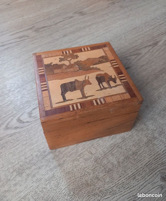 Boîte Livre En Bois Exotique – Marron – Décorative Et Vintage