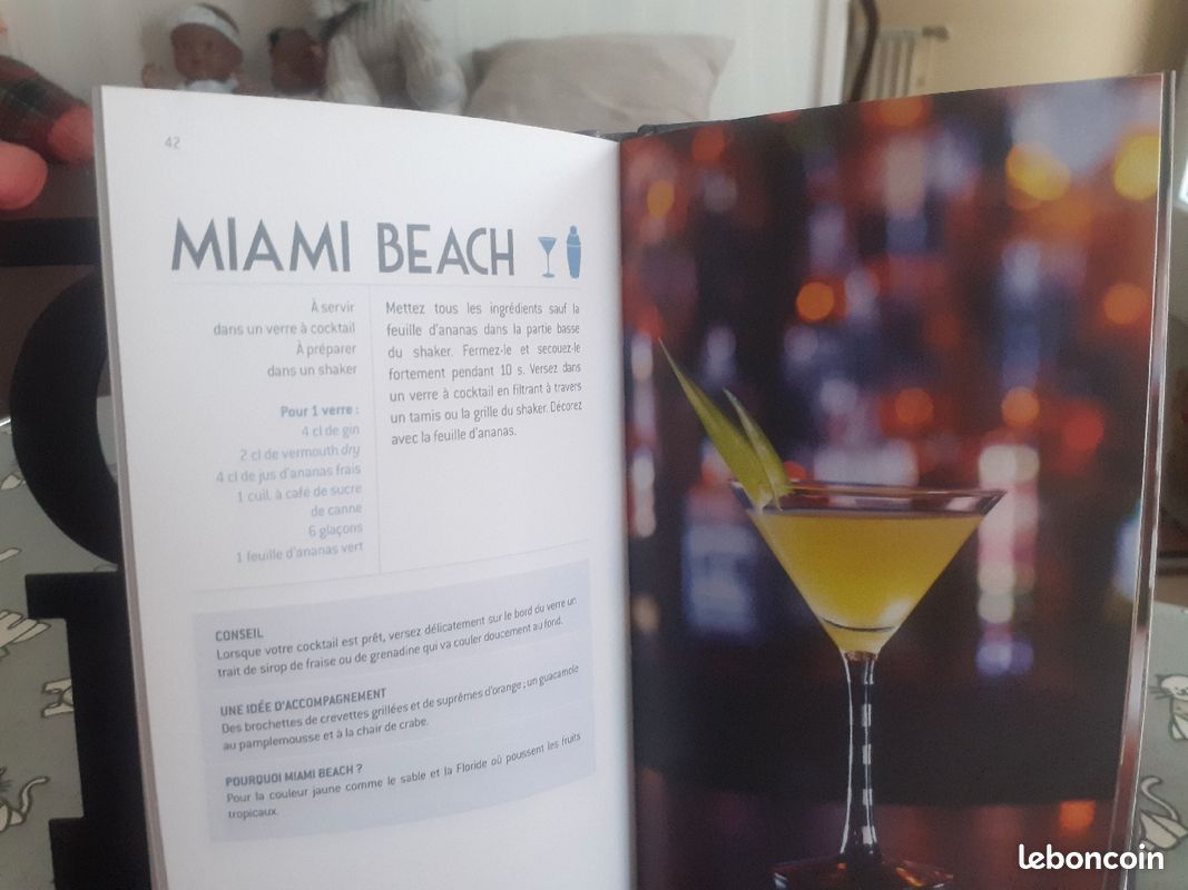 Shaker +livre de recettes de cocktail (image 4)