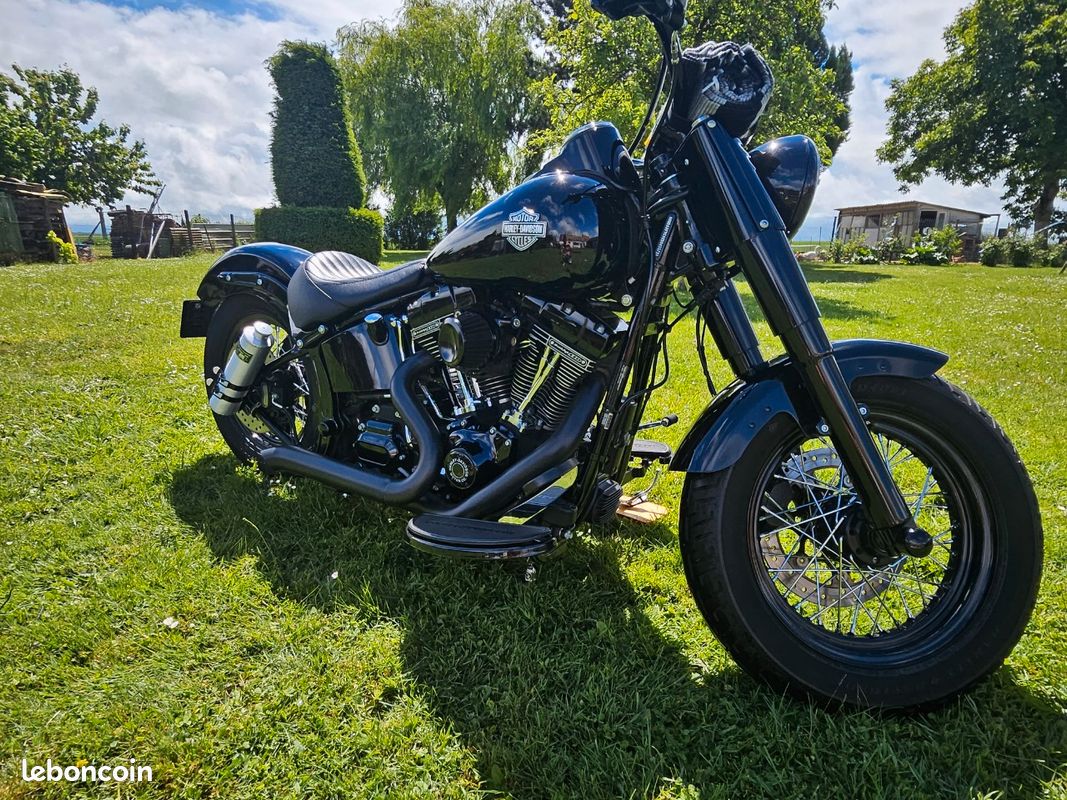 Softail slim s 110 (image 1)