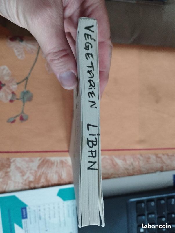 Recettes végétariennes du Liban + CADEAU (image 3)