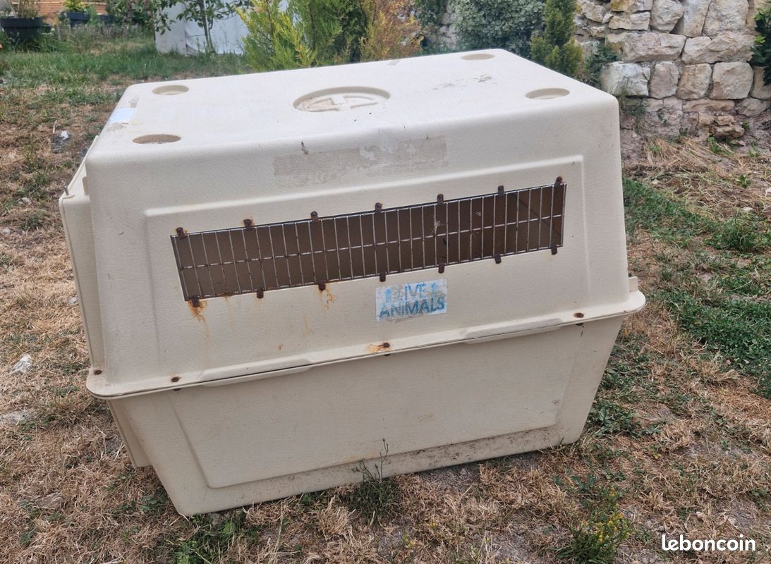 Caisse de transport chien (image 1)