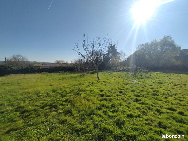Terrain 1 251 m² La Magdelaine Sur Tarn