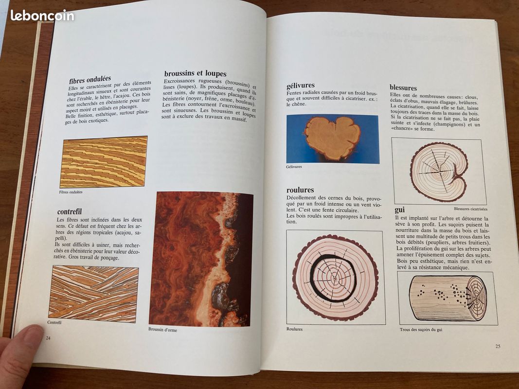 Comment choisir son bois guide pratique du bois éditions Kity Yves Touchard et Alphonse Meyer (image 17)