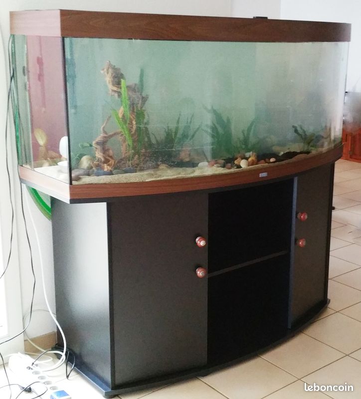 Aquarium 450 litres et son matériel (image 1)
