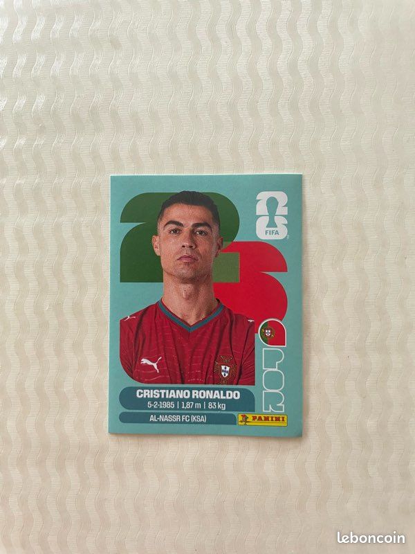Échange ou vente Panini coupe du monde (image 1)