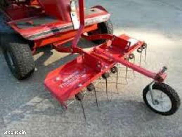 Snapper démousseur déchaumeur Thatcherizer Jardin Plantes