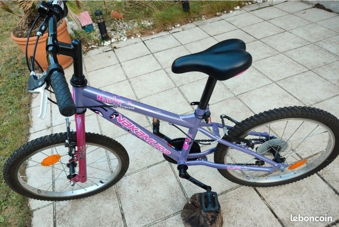 Vélo 20 pouces (image 3)