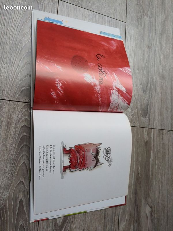 Livre la couleur des émotions (image 5)