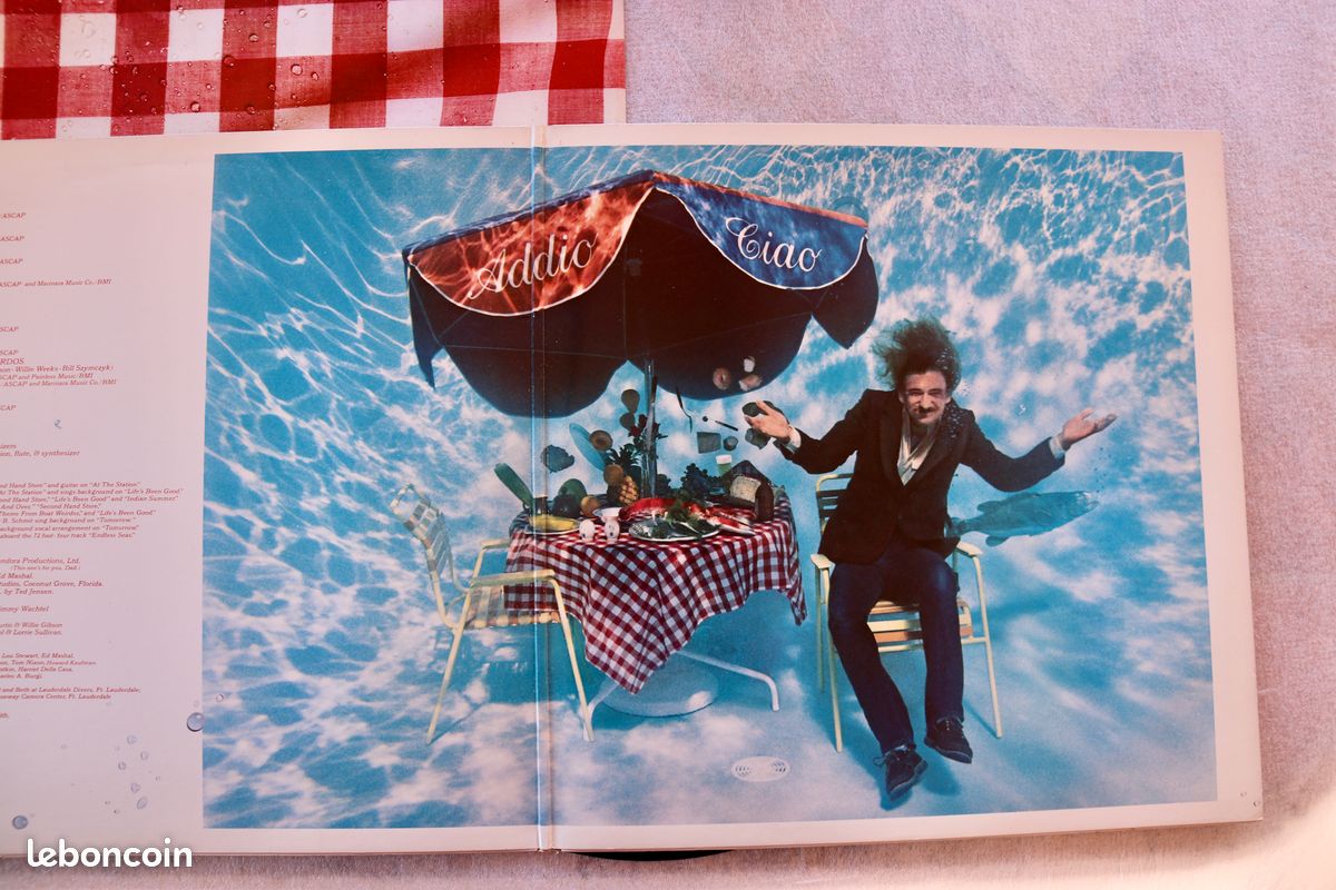 Joe walsh ""but seriously . Folks... Lp 33t de 1978 (image 3)