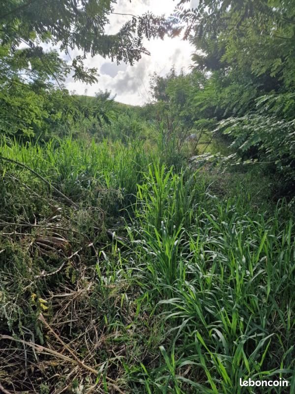 Terrain 1 820 m² Le Vauclin · 196 000 €