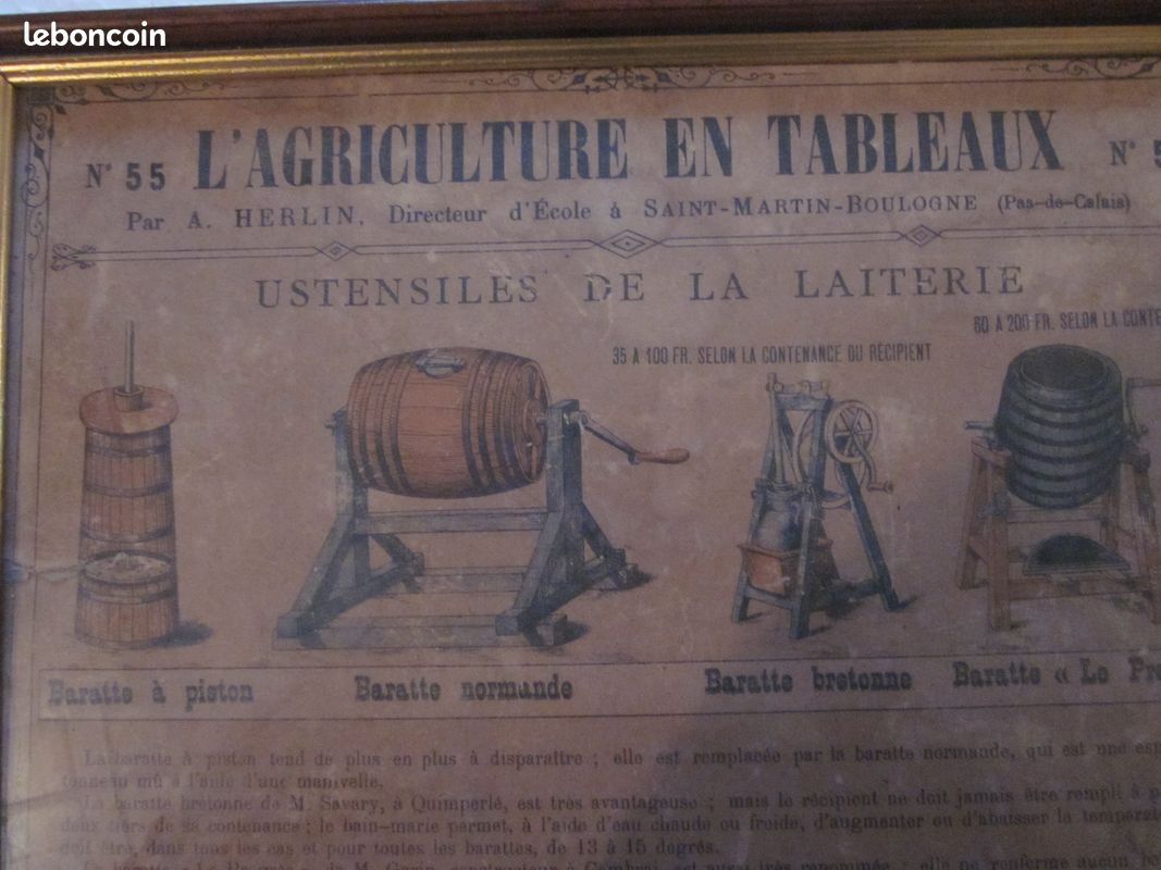 L'agriculture en tableaux n° 55 affiche d'école A. Herlin (image 5)