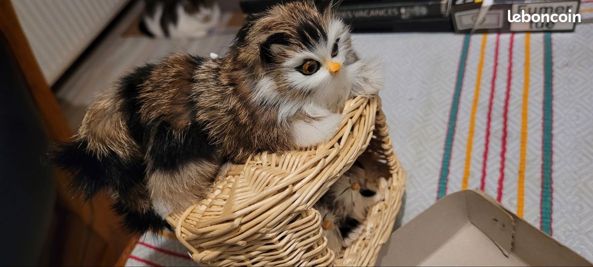 Chats mignons babiole (image 6)