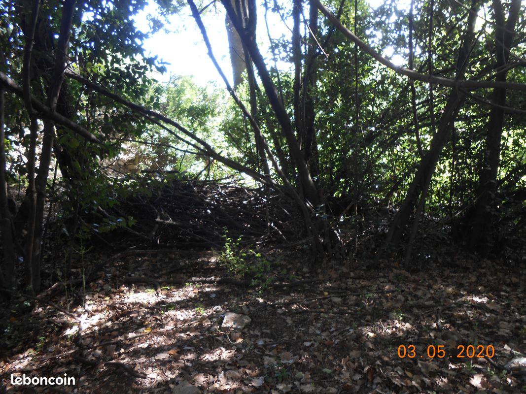 Terrain de loisirs (image 3)