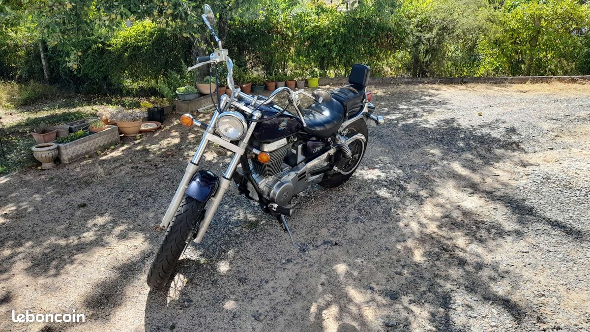 Custom suzuki 650 ls savage (image 2)