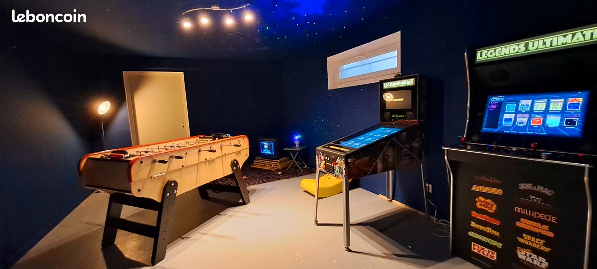 Gite le Clos du Breuil - Salle d'arcade - 10 minutes du centre de Poitiers et du Futuroscope (image 4)