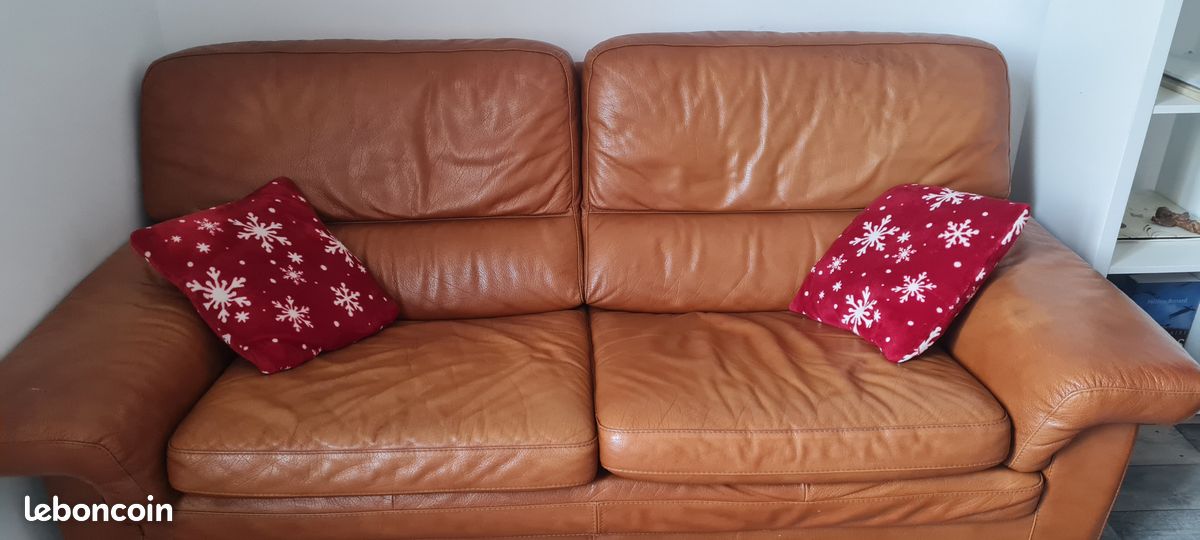 Canape cuir (image 1)