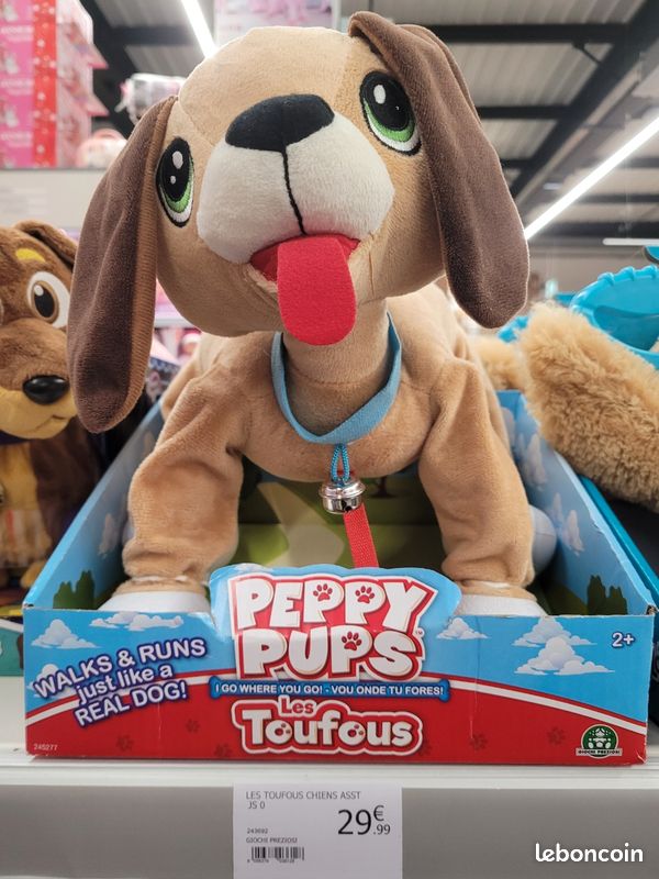 Superbe chien Toufou (image 6)