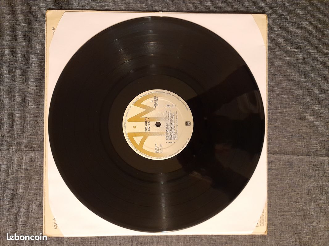 DISQUE VINYLE 33 Tours Tim Curry – Simplicity, Spain, 1981, A&M Records – AMLH 64830 (image 4)
